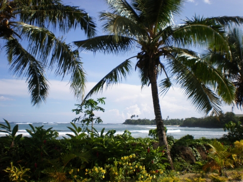 Palma na pobĹeĹžĂ­ Samoi
